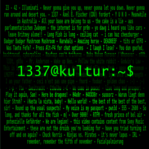 (c) 1337kultur.de